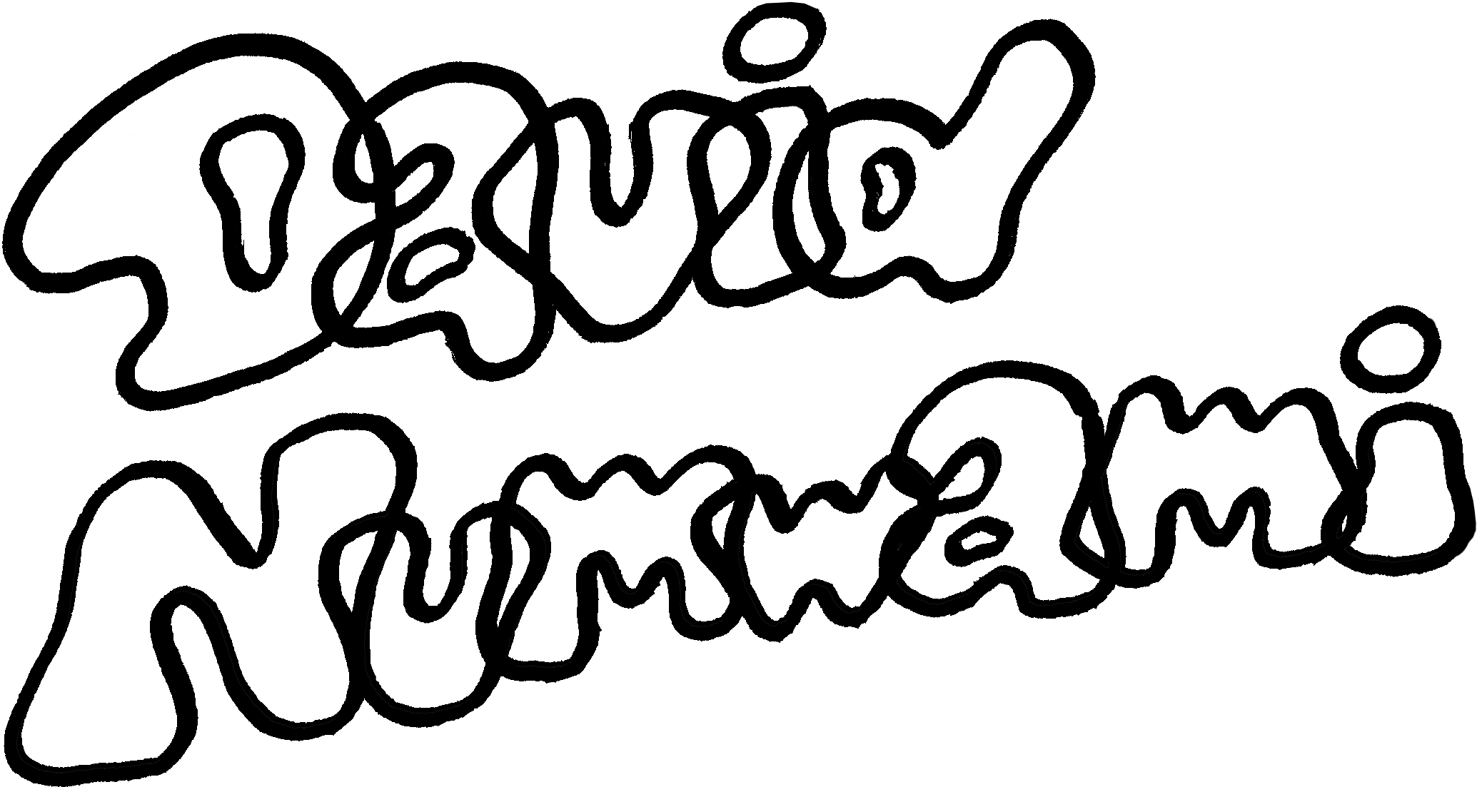 David Numwami's logo which is handwrited.